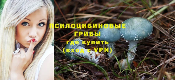 а пвп мука Аркадак