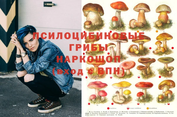 а пвп мука Аркадак