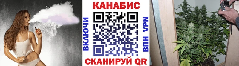 MEGA как зайти  Межгорье  Шишки марихуана сатива 